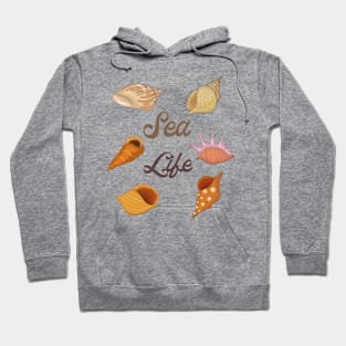 Beautiful Sea Shells Hoodie